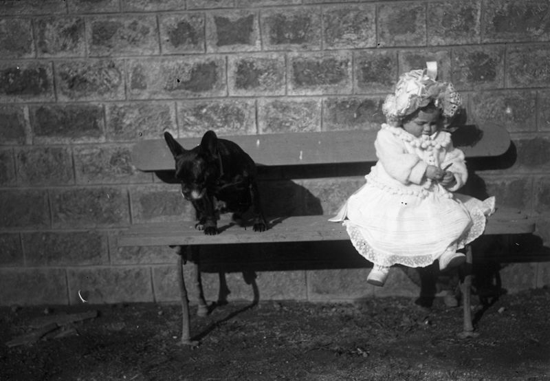 Petite fille assise sur un banc, à côté d’un chien