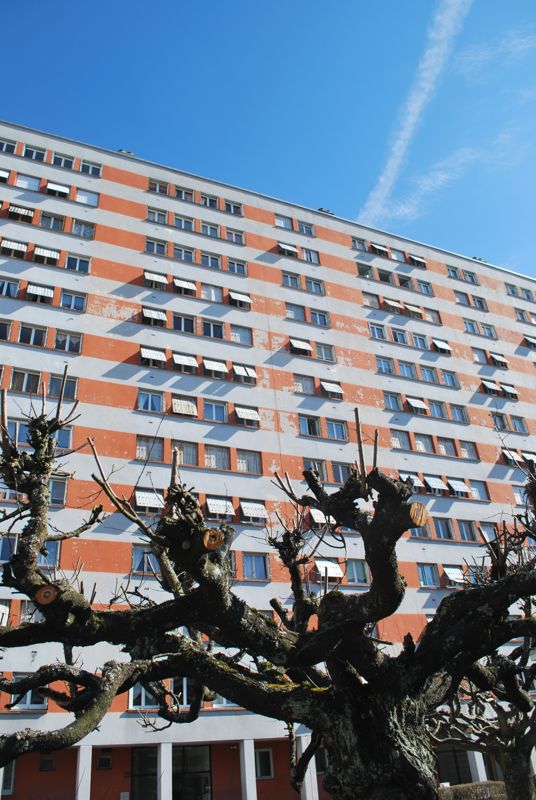 Têtard implorant une barre