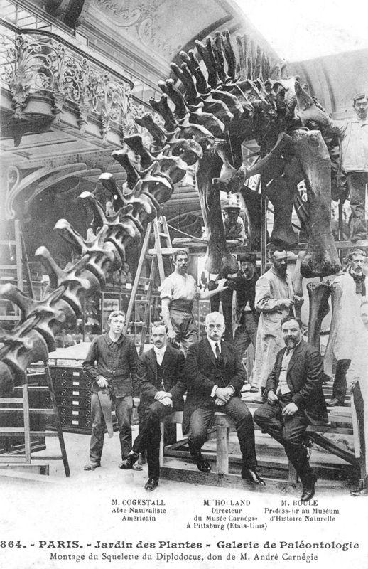 Boule et le diplodocus Carnegie