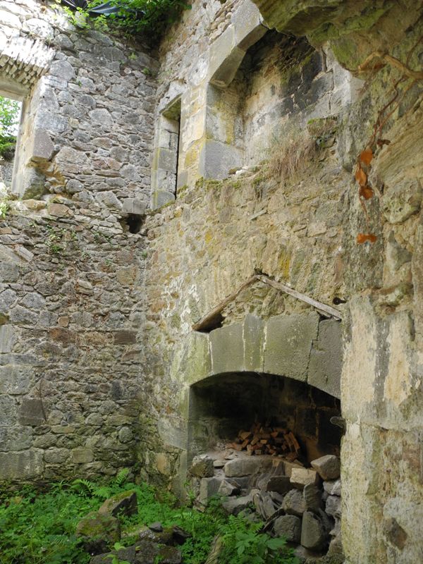 Tour de Marzes (Saint-Cernin), XIIIe siècle : intérieur, cheminée