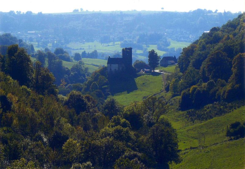 Tour et manoir de Marzes (Saint-Cernin) : vue actuelle du site prise de l’est