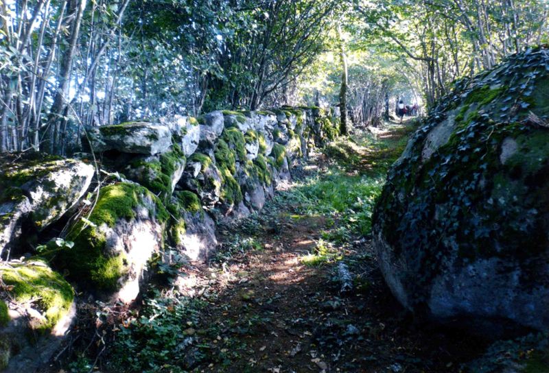 « Draille » de Lagardette (Saint-Cernin)