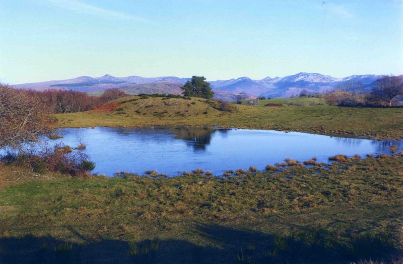 Les monts du Cantal vus du Roucaillou (Saint-Cernin)
