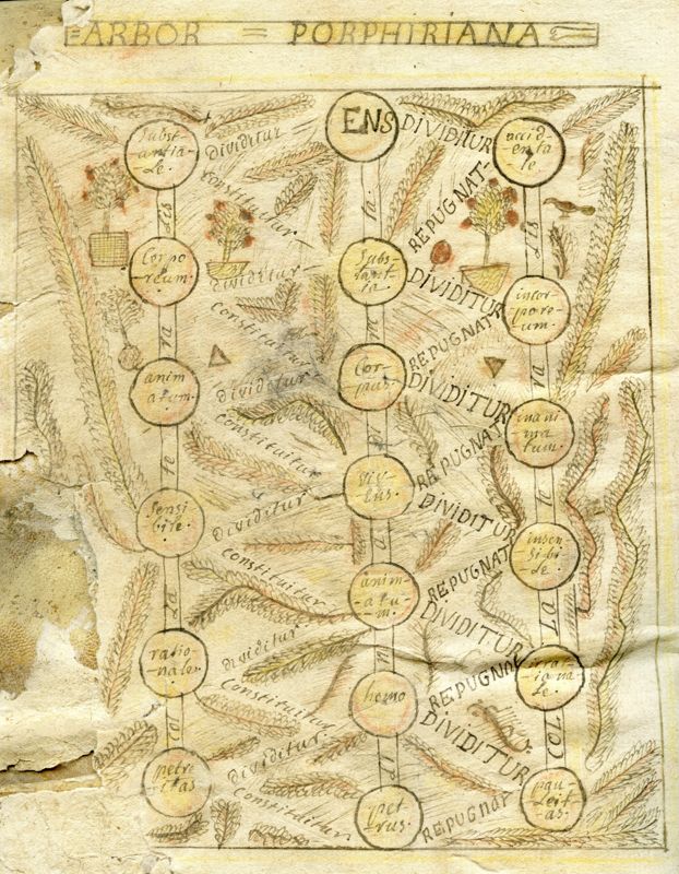 Arbre de Porphyre