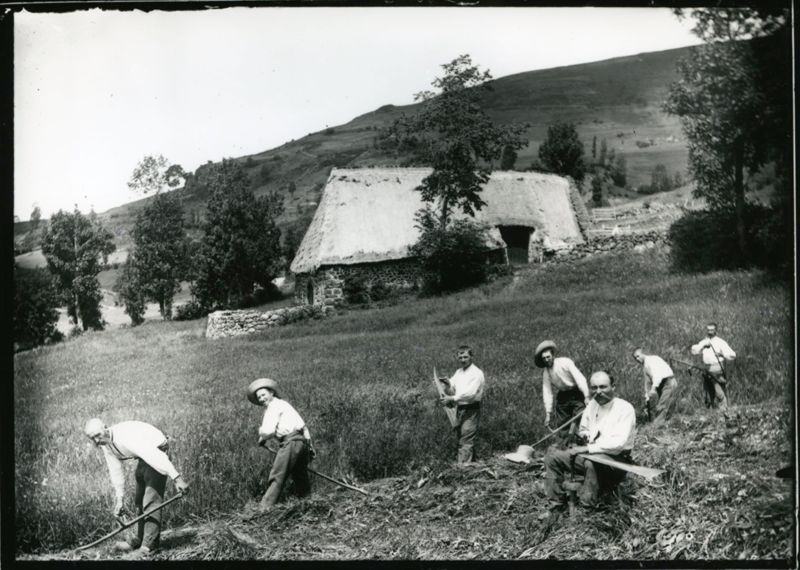 Environs de Salers, [1890-1910] (30 Fi 109)