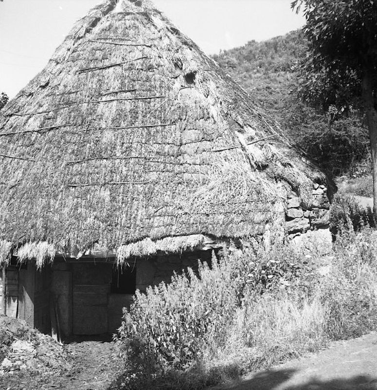 Sauronnet (Antignac), [1950-1970] (45 Fi 2510)