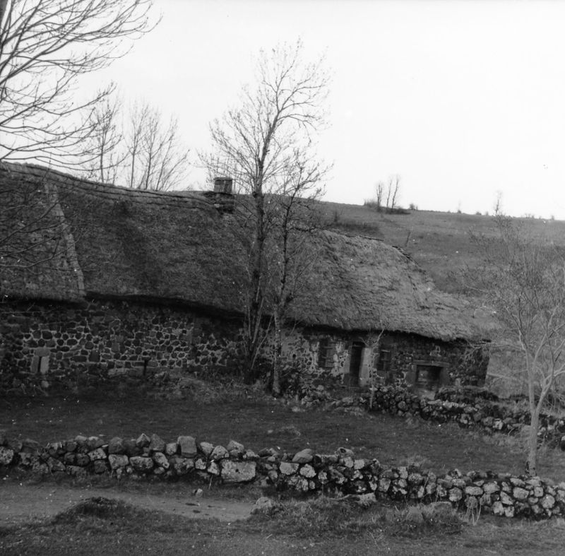 Les Granges (Apchon), (1960) (45 Fi 9841)