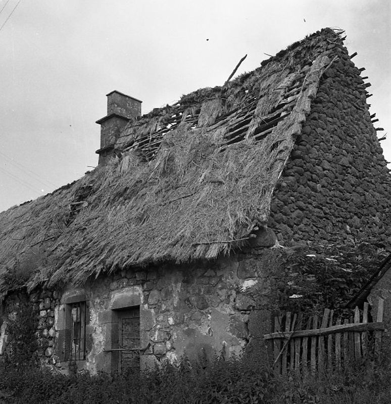 Girgols, [1950-1980] (45 Fi 2517)