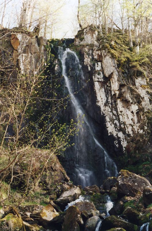 Le Luc (Mandailles), [2000-2004] (42 Fi 156)