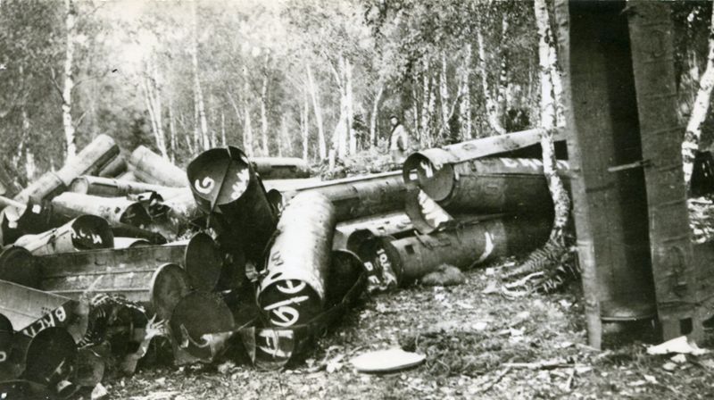 Containers dans la forêt