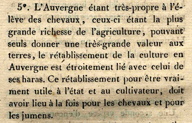 La passion des chevaux