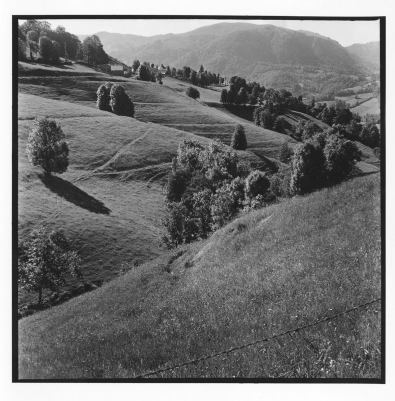 Vers Cornozières, juillet 1970