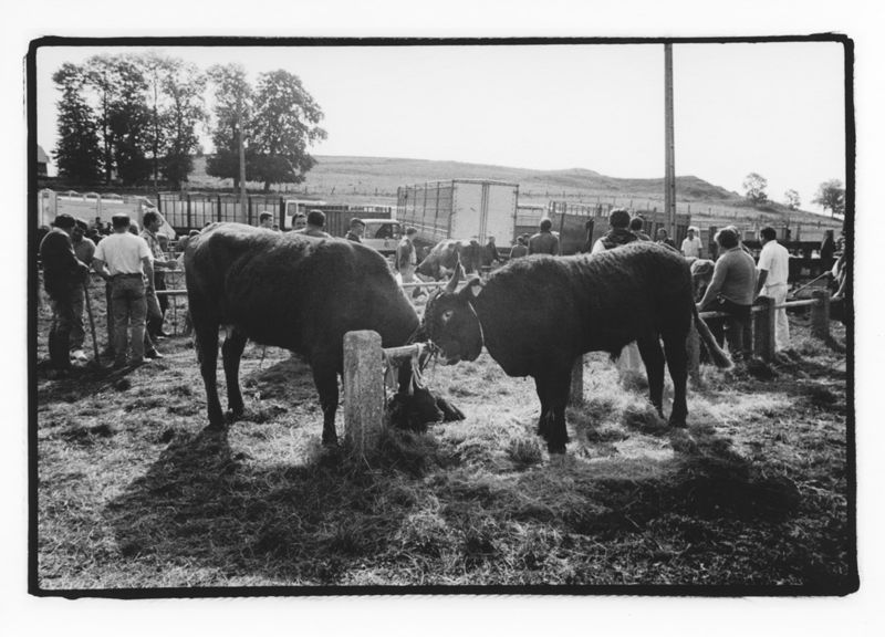 Foire d'Allanche, août 1994