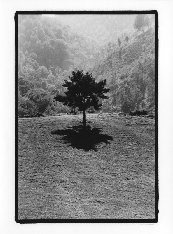 Le résistant du Bès, août 1998
