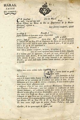 Procès-verbal de saisie de jument