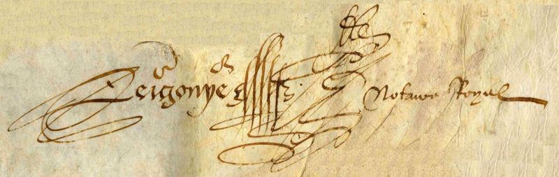 Signature