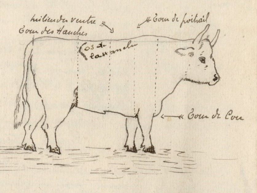 Visions d’une exploitation agricole de l’entre-deux-guerres en Planèze : un bail à ferme singulier (1927)
