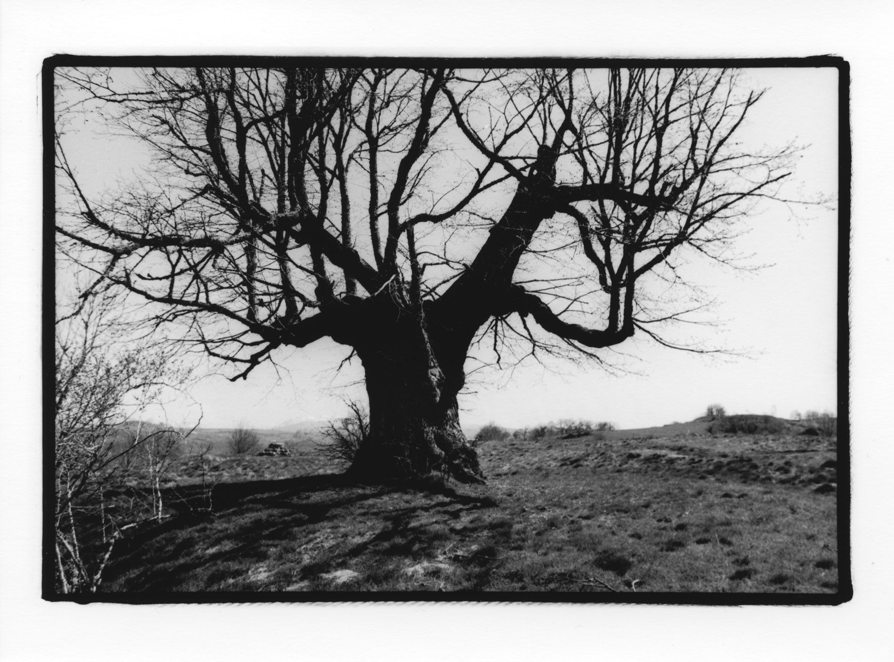 Vu dans le Cantal : 60 ans de photographies de Michel Quétin