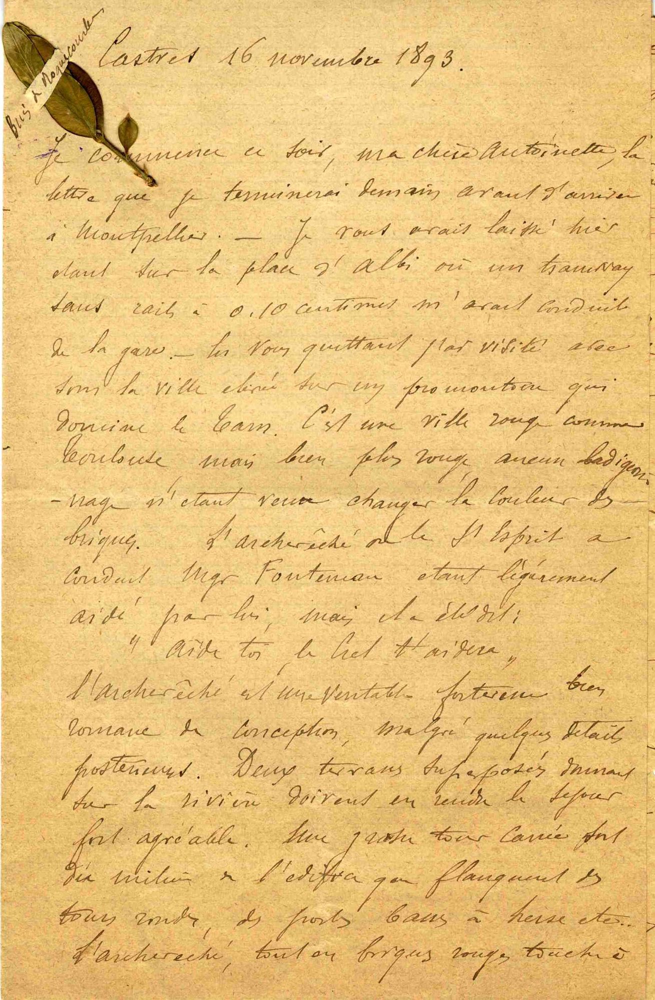 Une lettre-herbier tirée de la correspondance du comte Edouard de Dienne (1893)